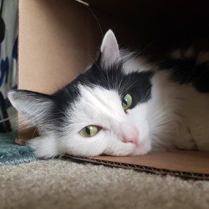 Meet your Posher, Caroline